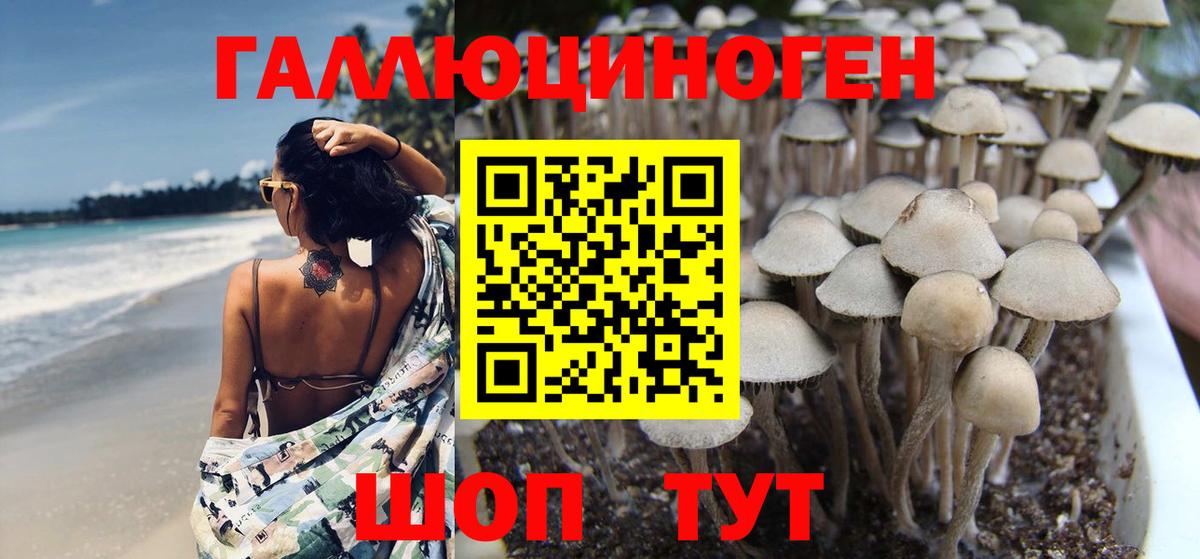 Псилоцибиновые грибы Cubensis  купить   Москва  Галлюциногенные грибы мухоморы  Вход с VPN 