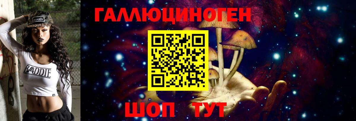 Псилоцибиновые грибы мухоморы Москва